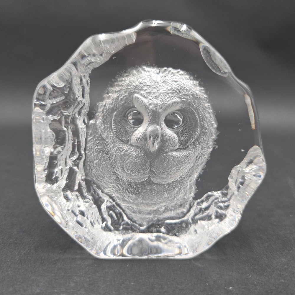 Mats Jonasson Maleras Swedish Art Glass Owl Paperweight Signed Sculpture 3576